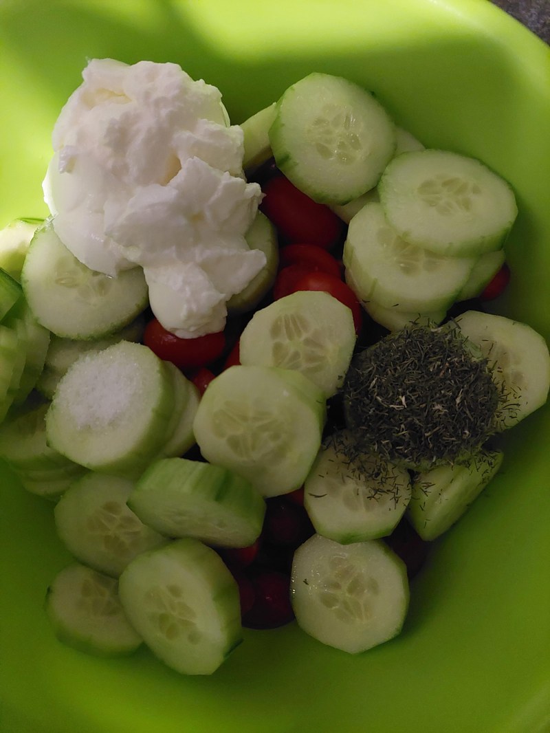 Gurken-Tomaten-Salat mit Dill-Joghurt-Dressing — Kilopurzel